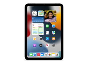 iPad mini 6 (Cellular)